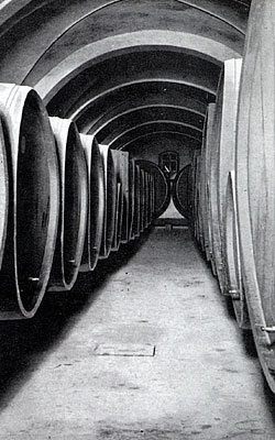 Una navata della cantina. (foto dall'album della Casa )