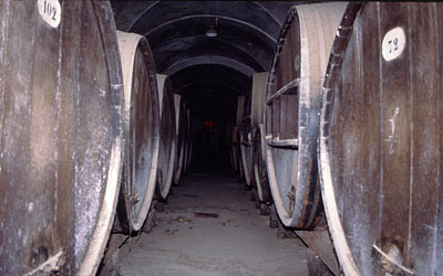 Una navata della cantina come si presentava molti anni dopo la chiusura dell'azienda. (foto Gioacchino Albanese)