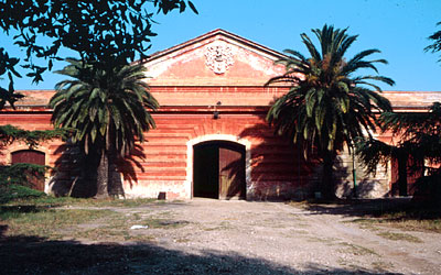 L'ingresso dello stabilimento vinicolo come si presentava molti anni dopo la chiusura. (foto Gioacchino Albanese)