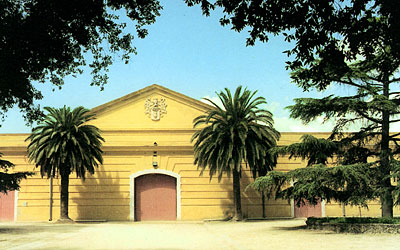 La facciata dell'ex stabilimento oggi trasformato in luogo di lavorazione delle olive, varietà "Bella di Cerignola". (fo