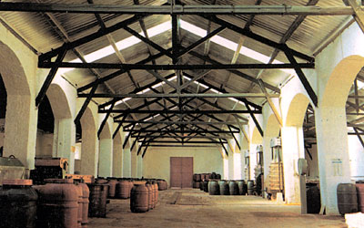 L'interno dell'ex stabilimento vinicolo di Santo Stefano, oggi destinato alla lavorazione delle olive. (foto pubblicitar