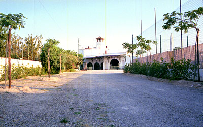 Masseria Scarafone: il viale di ingresso. (foto Gioacchino Albanese)
