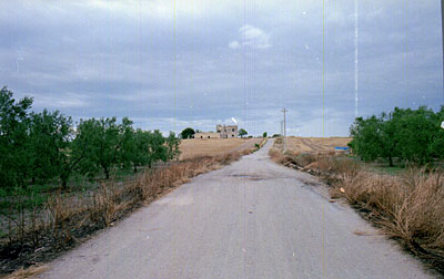 Masseria Tammarice: viale di accesso costruito di recente dal Consorzio di Bonifica. (foto Gioacchino Albanese)
