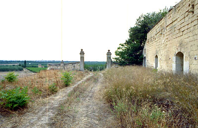 Masseria Tammarice: originario viale di accesso alla masseria. (foto Gioacchino Albanese)