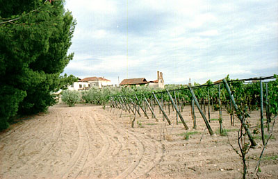 Masseria Tannoia: lo stabilimento con parte del tetto crollato. (foto Gioacchino Albanese)