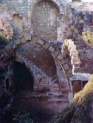 I resti architettonici dell'ospizio teutonico di S. Maria a Gerusalemme.