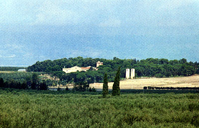Villa Torre Quarto inquadrata nella zona che da essa prende il nome. (foto dall'Album della Villa)
