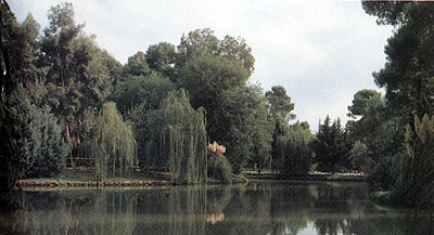 Torre Quarto: il laghetto . (foto dall'Album della Villa)