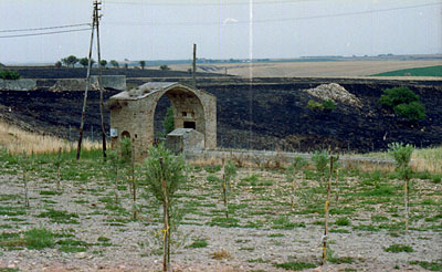 Masseria Torretta: pozzo coperto. (foto Gioacchino Albanese)