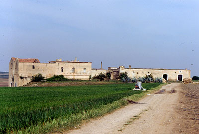 Il complesso di edifici vecchi e nuovi di masseria La Vedova. I due blocchi di edifici fanno da ali alla vecchia curtis 