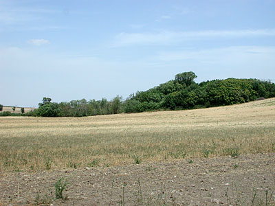Zona S. Giovanni in fonte. (foto Gioacchino Albanese)