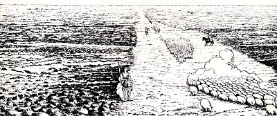 I tratturi attraverso i quali transumavano le pecore erano larghi 111m, pari a 60 passi napoletani. (Illustrazione Pasqu