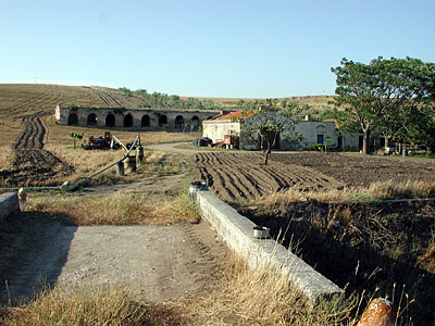 Posta Cafora nell'agro di Cerignola. (foto Gioacchino Albanese)